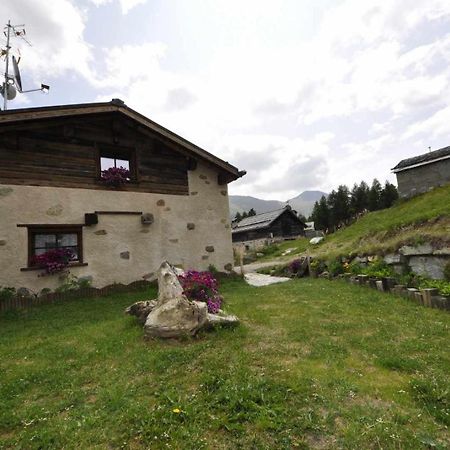 Mountain Chalet Scoiattolo By Livigno Accomodation Экстерьер фото