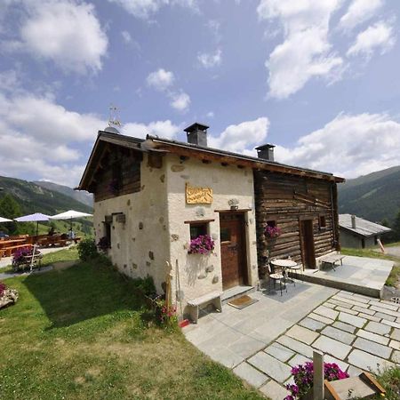 Mountain Chalet Scoiattolo By Livigno Accomodation Экстерьер фото