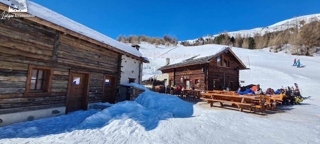 Mountain Chalet Scoiattolo By Livigno Accomodation Экстерьер фото