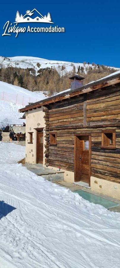 Mountain Chalet Scoiattolo By Livigno Accomodation Экстерьер фото