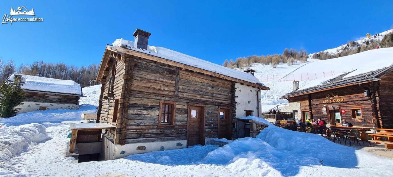 Mountain Chalet Scoiattolo By Livigno Accomodation Экстерьер фото