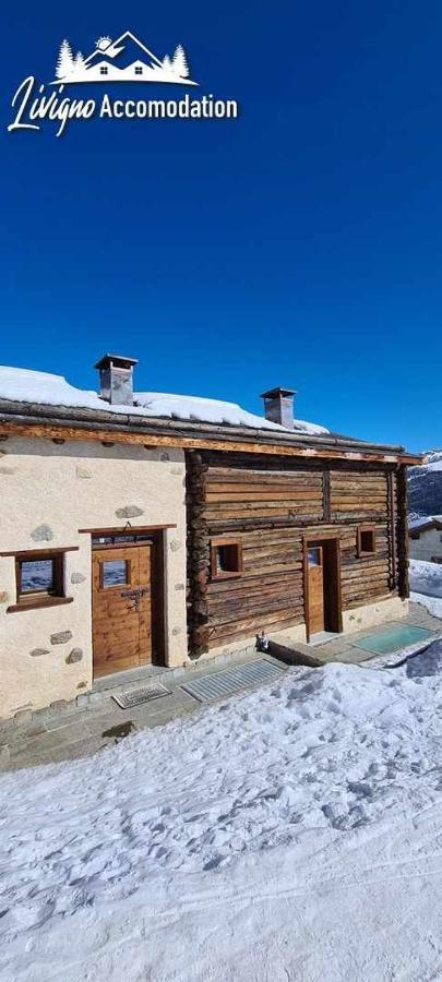 Mountain Chalet Scoiattolo By Livigno Accomodation Экстерьер фото