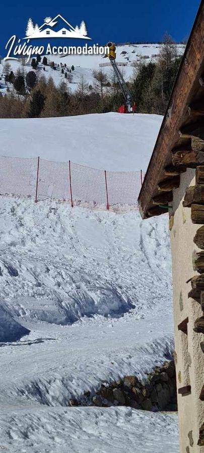 Mountain Chalet Scoiattolo By Livigno Accomodation Экстерьер фото