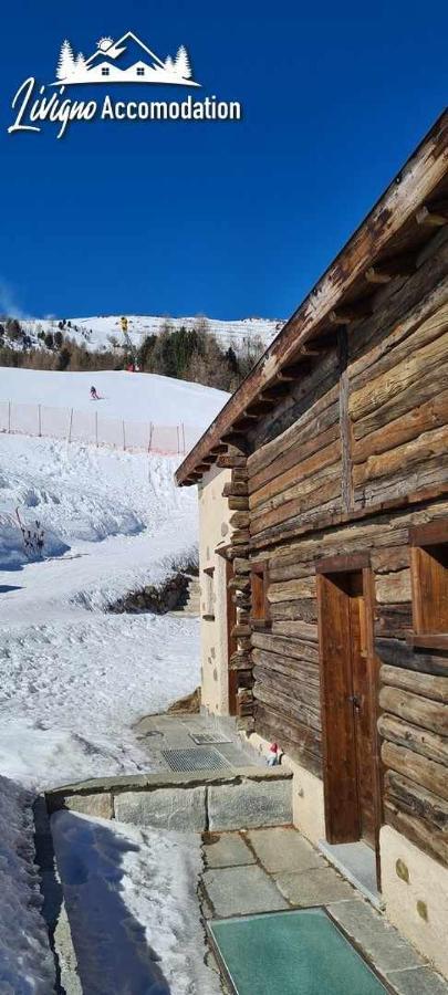 Mountain Chalet Scoiattolo By Livigno Accomodation Экстерьер фото