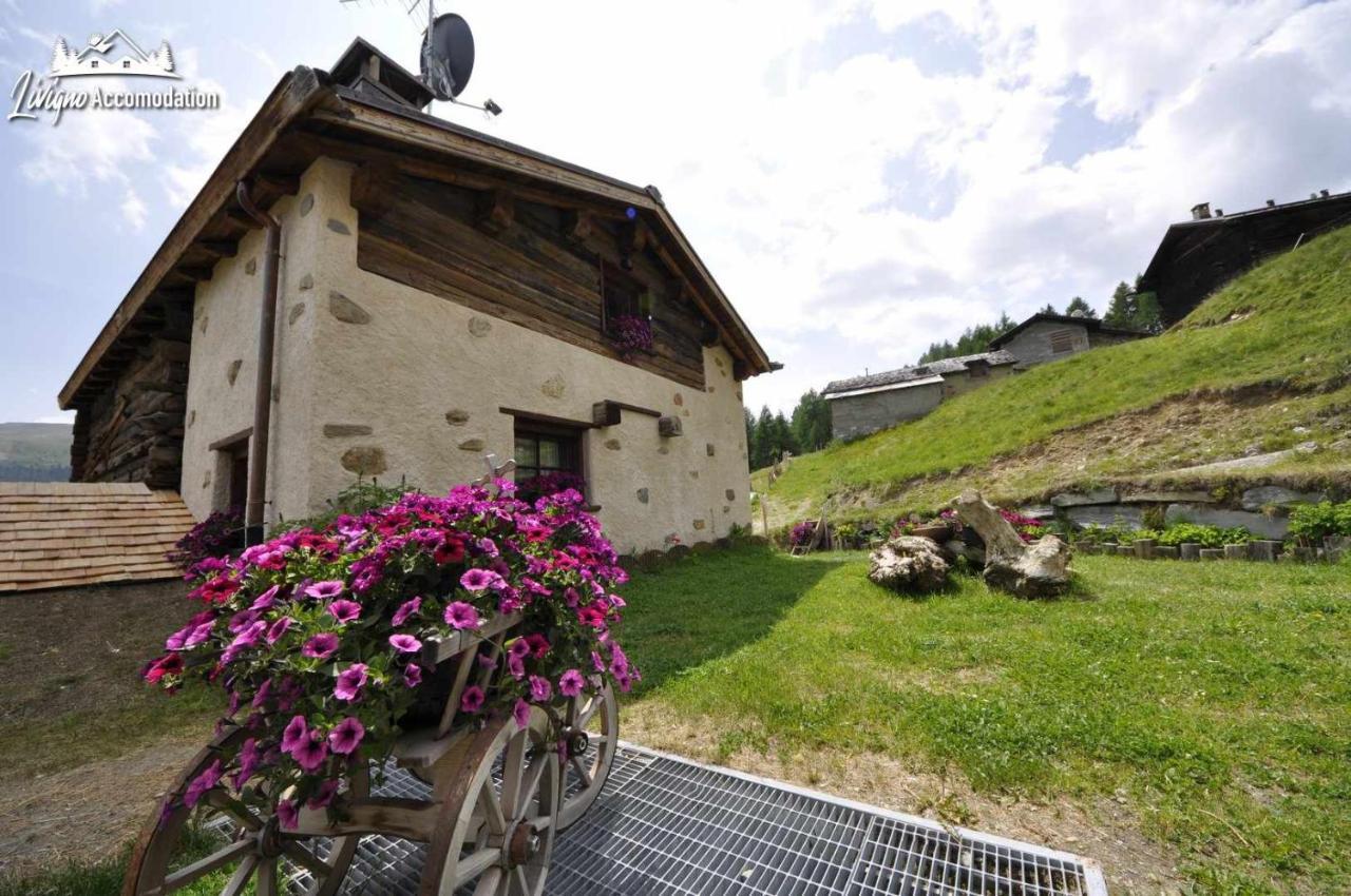 Mountain Chalet Scoiattolo By Livigno Accomodation Экстерьер фото