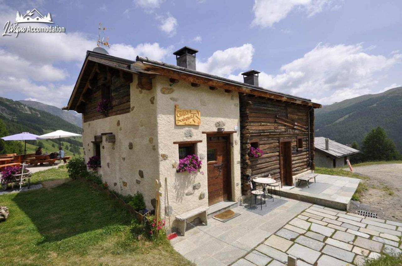 Mountain Chalet Scoiattolo By Livigno Accomodation Экстерьер фото