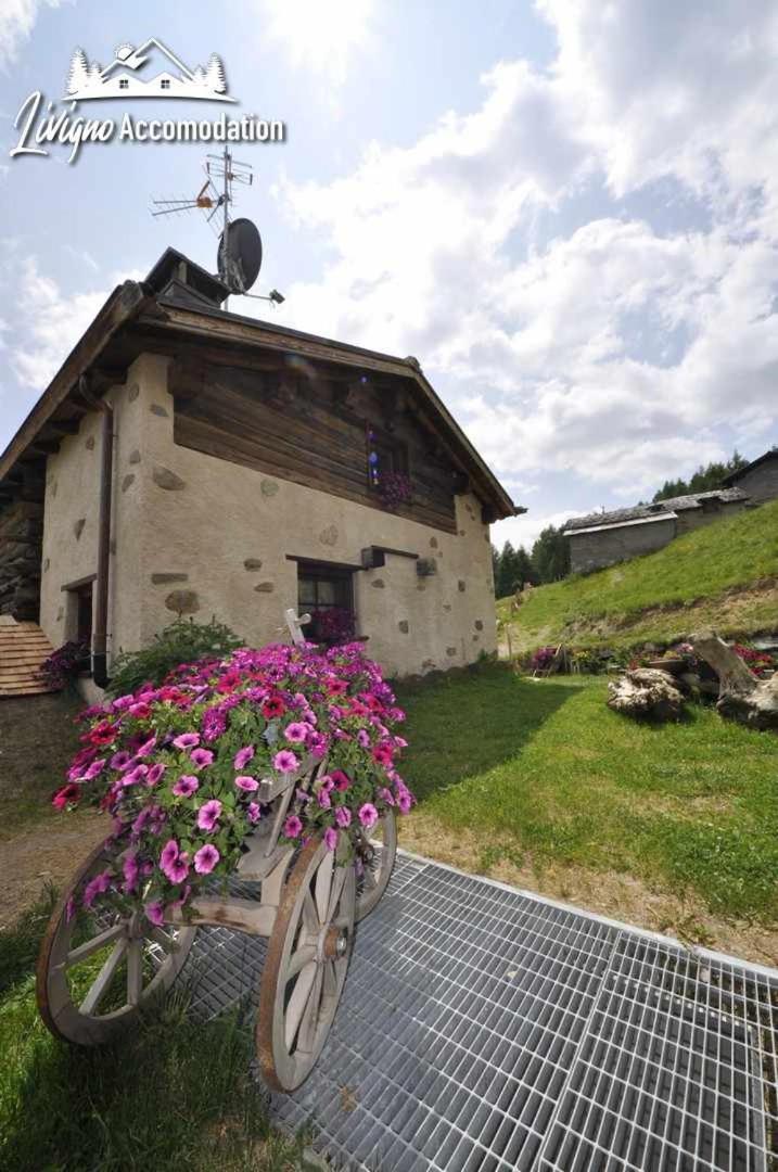 Mountain Chalet Scoiattolo By Livigno Accomodation Экстерьер фото