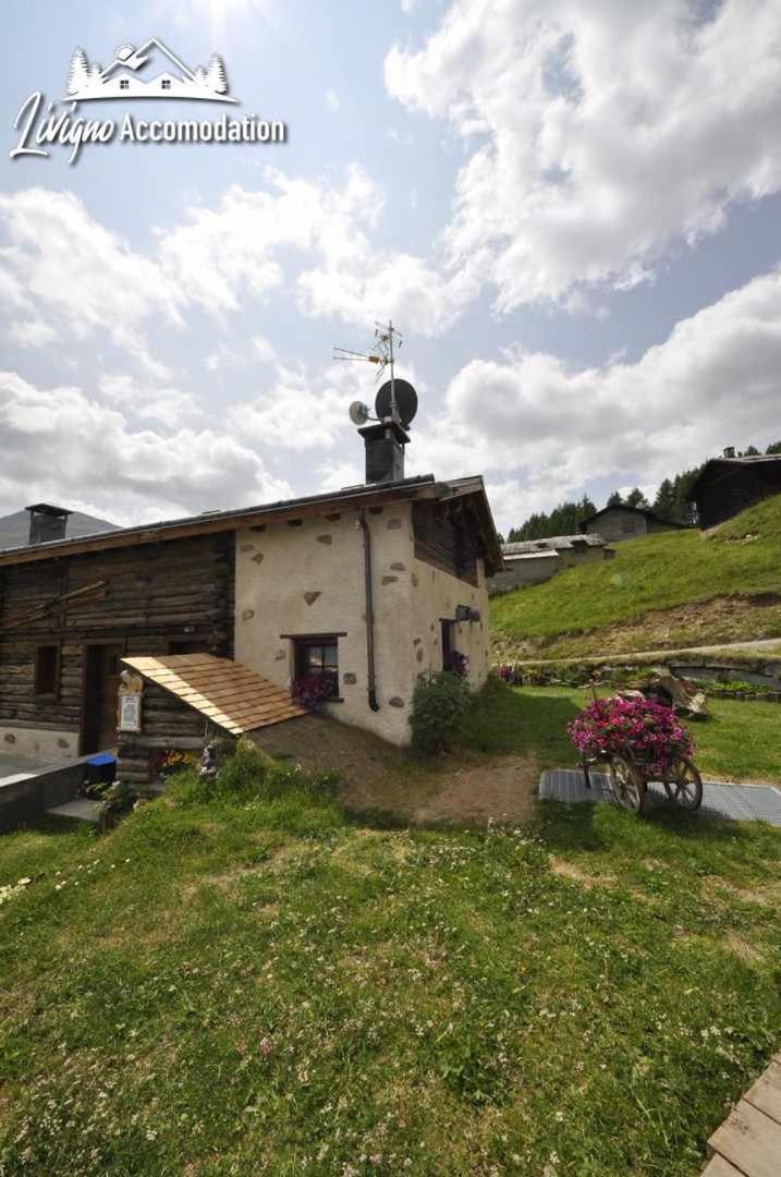 Mountain Chalet Scoiattolo By Livigno Accomodation Экстерьер фото