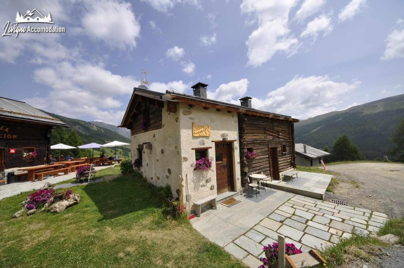 Mountain Chalet Scoiattolo By Livigno Accomodation Экстерьер фото