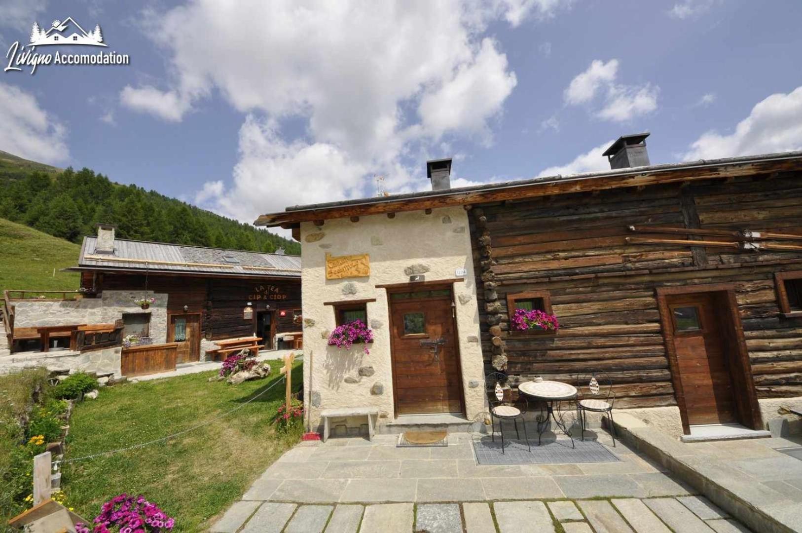Mountain Chalet Scoiattolo By Livigno Accomodation Экстерьер фото