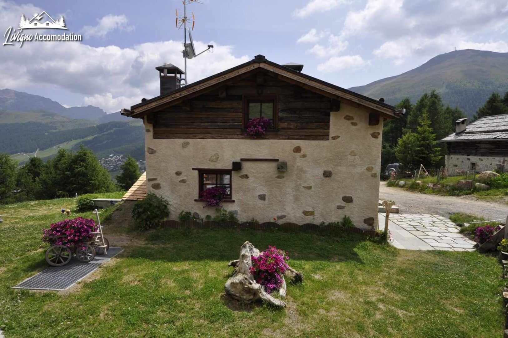 Mountain Chalet Scoiattolo By Livigno Accomodation Экстерьер фото
